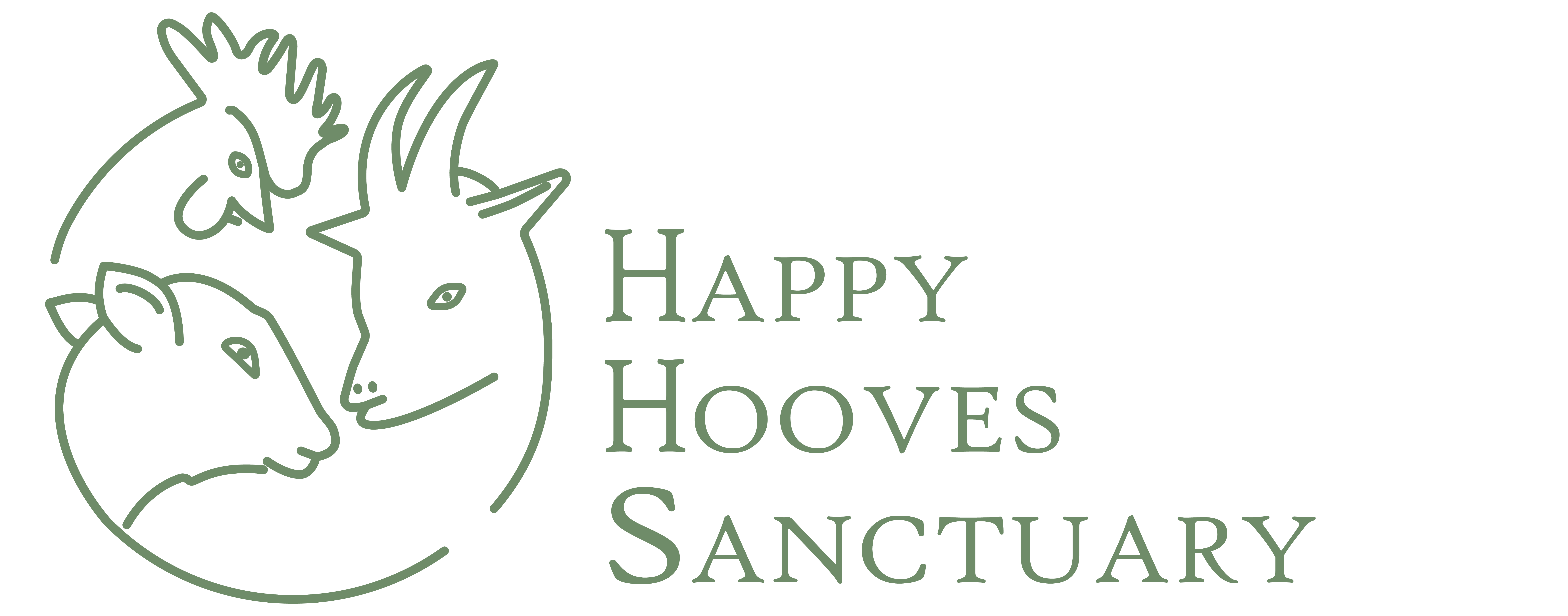 Home  Happy Hooves Sanctuary